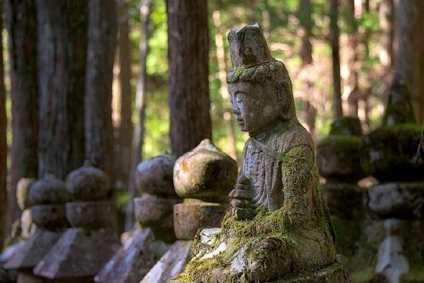 徒步世遗朝圣之路,在森林古道遇见神明