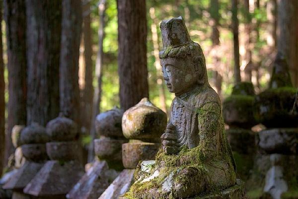 徒步世遗朝圣之路，在森林古道遇见神明