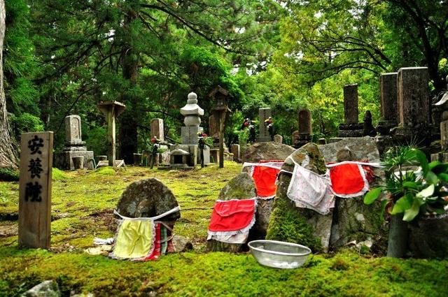 徒步世遗朝圣之路,在森林古道遇见神明