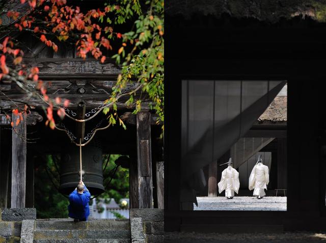 徒步世遗朝圣之路,在森林古道遇见神明