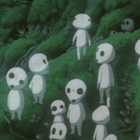 徒步世遗朝圣之路,在森林古道遇见神明