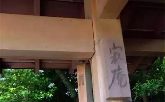 吃肉喝酒承认好色:这位96岁尼姑,成为日本年轻人最喜欢的网红