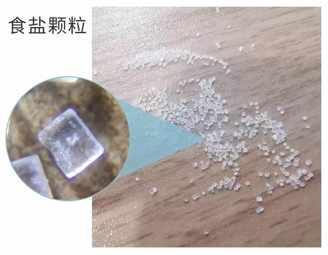 日本这个小孩火了!为什么在教育上,日本人从不手软?值得深思
