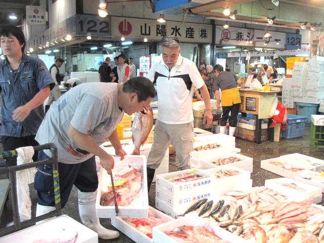 日本是如何管理海鲜市场的？看完才知道：能生吃是有原因的