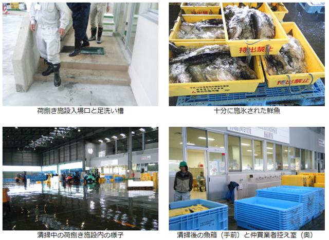 日本是如何管理海鲜市场的?看完才知道:能生吃是有原因的