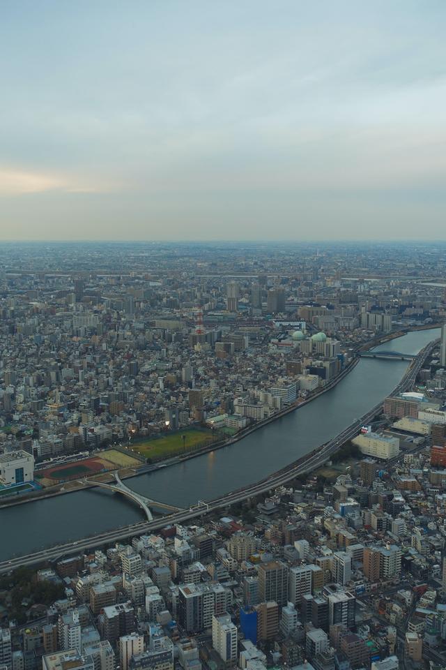 日本国籍和日本永住权,你会选择哪一个?