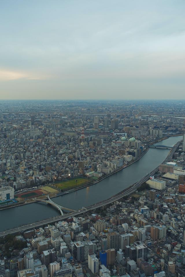 日本国籍和日本永住权，你会选择哪一个？