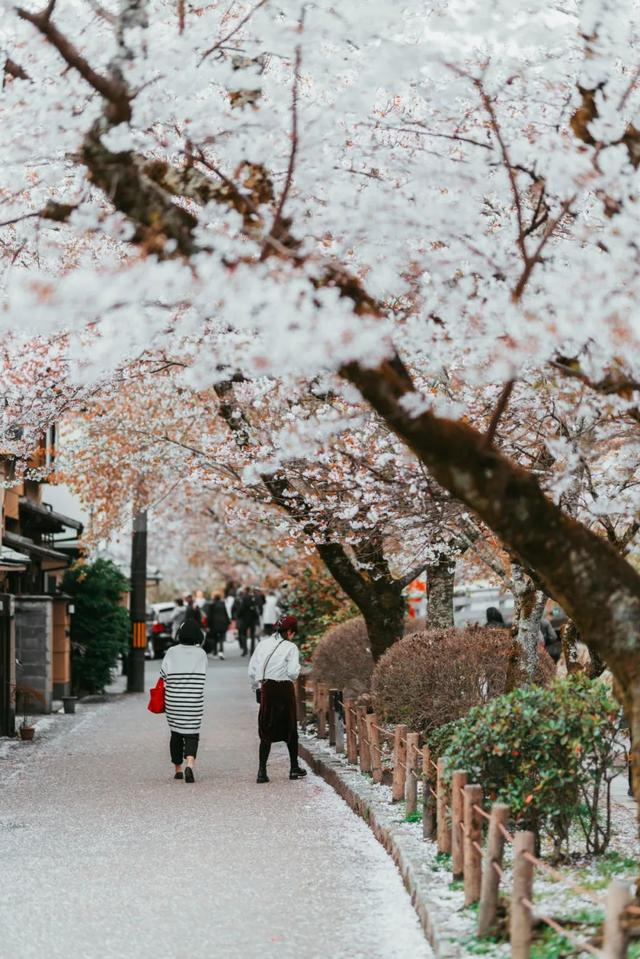 日本90后最想定居的都道府县排行榜，北海道只排第三？