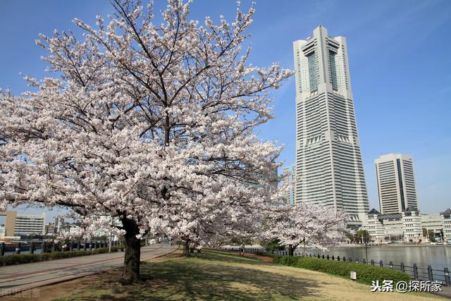 日本最具人气的街区?2020年日本人投票「最想居住地区」大公开