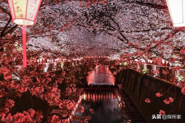 日本最具人气的街区?2020年日本人投票「最想居住地区」大公开