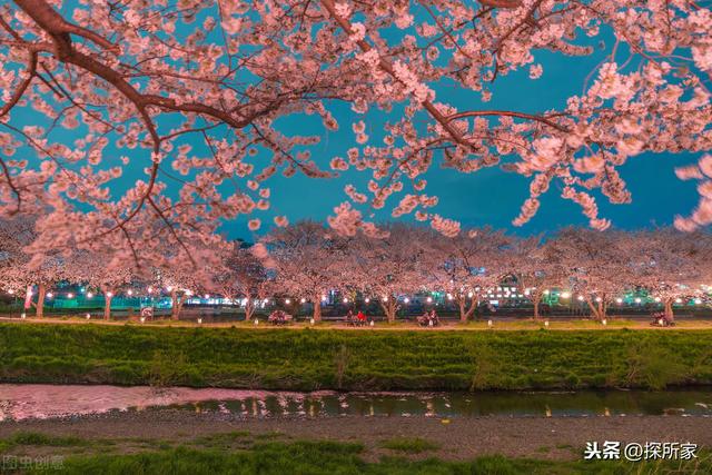 日本最具人气的街区？2020年日本人投票「最想居住地区」大公开