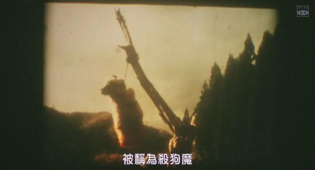 今年日本票房最高的恐怖片,真实事件改编,女主曾因周杰伦爆红
