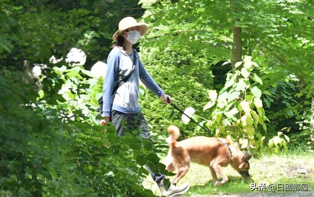 离婚一个月后,杏与亲生母亲的12亿日元官司达成和解