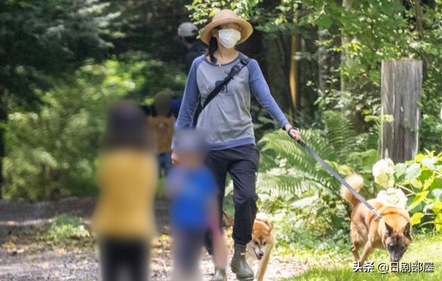离婚一个月后,杏与亲生母亲的12亿日元官司达成和解