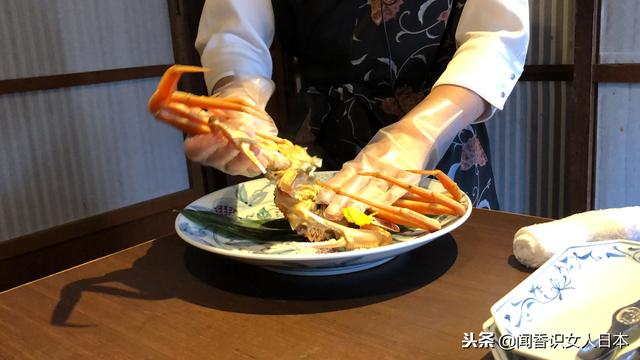 日本福井县不仅存款最多还有最贵的越前螃蟹