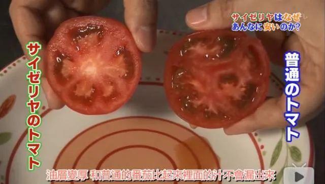 “意大利沙县小吃”年入100亿元,靠“高性价比”出圈