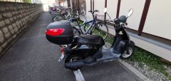 出售本田原付50cc踏板摩托车