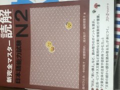 N2N1资料