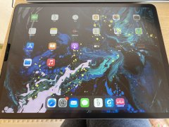 ipadpro12.9  插卡版512g 带键盘