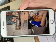 出iPhone8plus 64g 国行 无拆修 性能按键屏幕都完好