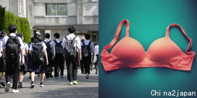 日本奇葩校规惹众怒!女生不许扎马尾,校方认为男生看脖子会兴奋