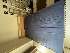 セミダブルサイズ床 床垫和洗衣机免费自取 配送收费 横滨国立大学附近