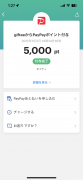 tiktok羊毛 4000円　paypayポイント